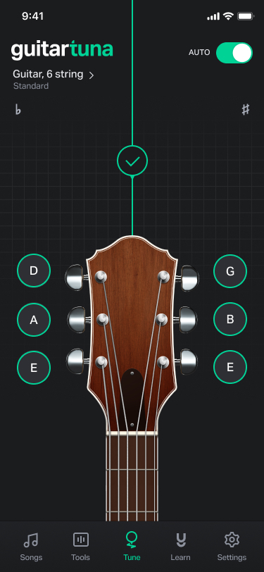 guitar-all-tuned
