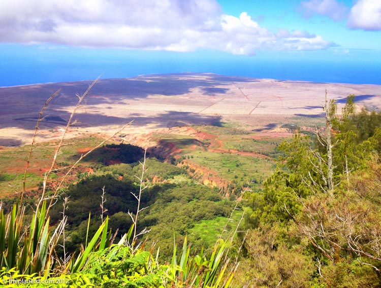 lanai conservation project