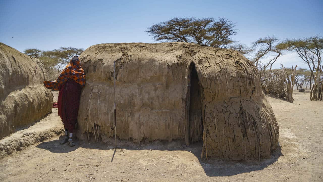 Maasai mud houses