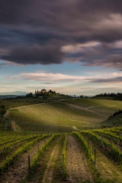 castle in tuscany over vineyard